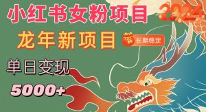 小红书女粉头像项目，单日变现5000+，适合在家做的副业，长期稳定【揭秘】-沐风资源库