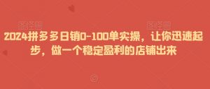 2024拼多多日销0-100单实操，让你迅速起步，做一个稳定盈利的店铺出来-沐风资源库