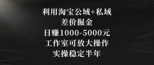 利用淘宝公域+私域差价掘金，日赚1000-5000元，工作室可放大操作，实操稳定半年【揭秘】-沐风资源库