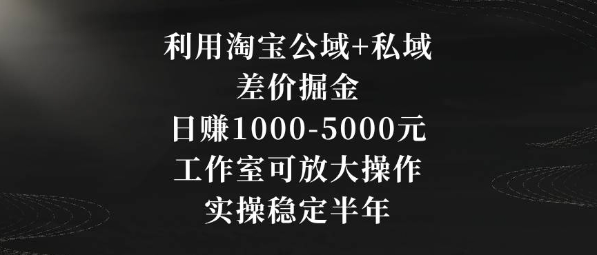 利用淘宝公域+私域差价掘金，日赚1000-5000元，工作室可放大操作，实操稳定半年【揭秘】-沐风资源库