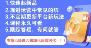 文西电商课程，规避运营中常见的坑-沐风资源库