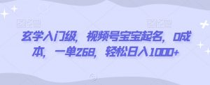 玄学入门级，视频号宝宝起名，0成本，一单268，轻松日入1000+【揭秘】-沐风资源库