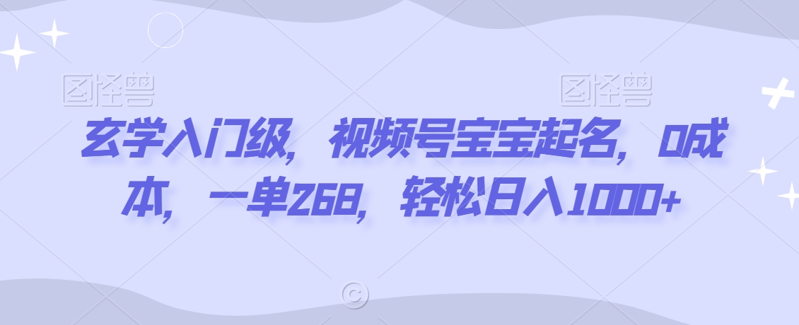 玄学入门级，视频号宝宝起名，0成本，一单268，轻松日入1000+【揭秘】-沐风资源库