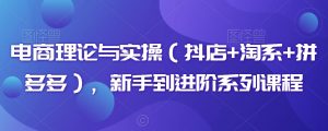 电商理论与实操(抖店+淘系+拼多多),新手到进阶系列课程-沐风资源库