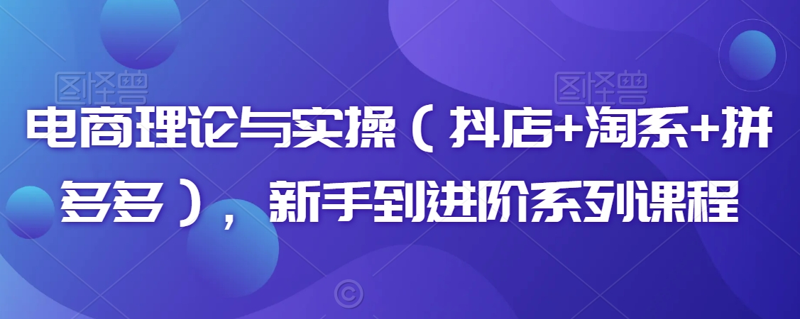 电商理论与实操(抖店+淘系+拼多多),新手到进阶系列课程-沐风资源库
