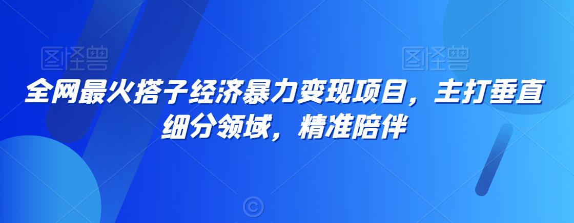 全网最火搭子经济暴力变现项目，主打垂直细分领域，精准陪伴【揭秘】-沐风资源库