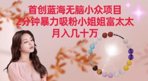 首创蓝海无脑小众项目，2分钟暴力吸粉小姐姐富太太，月入几十万【揭秘】-沐风资源库