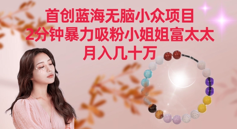 首创蓝海无脑小众项目，2分钟暴力吸粉小姐姐富太太，月入几十万【揭秘】-沐风资源库