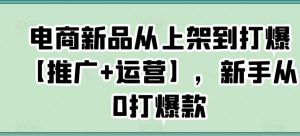 电商新品从上架到打爆【推广+运营】，新手从0打爆款-沐风资源库