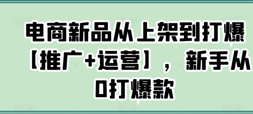 电商新品从上架到打爆【推广+运营】，新手从0打爆款-沐风资源库