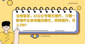 全网首发，AI公众号爆文插件，只需一款插件全自动输出爆文，矩阵操作，月入3W+【揭秘】-沐风资源库