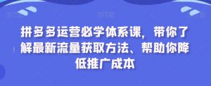拼多多运营必学体系课，带你了解最新流量获取方法、帮助你降低推广成本-沐风资源库