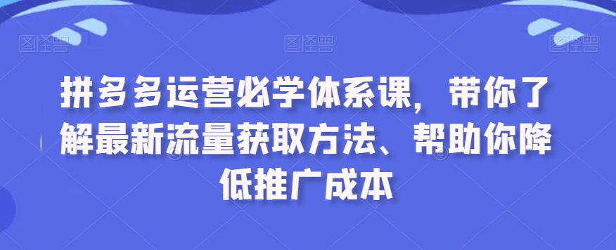 拼多多运营必学体系课，带你了解最新流量获取方法、帮助你降低推广成本-沐风资源库
