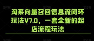 淘系向量召回信息流闭环玩法V7.0，一套全新的起店流程玩法-沐风资源库