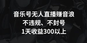 音乐号无人直播赚音浪，不违规、不封号，1天收益300+【揭秘】-沐风资源库