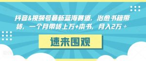 抖音&视频号最新蓝海赛道，治愈书籍带货，一个月带货上万+本书，月入2万＋【揭秘】-沐风资源库