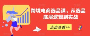 跨境电商选品课，从选品到底层逻辑到实战-沐风资源库