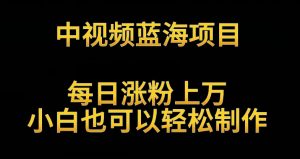 中视频蓝海项目，解读英雄人物生平，每日涨粉上万，小白也可以轻松制作，月入过万不是梦【揭秘】-沐风资源库