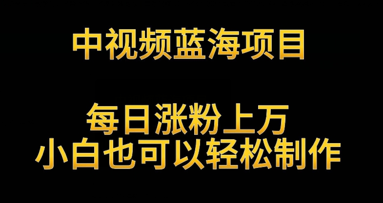 中视频蓝海项目，解读英雄人物生平，每日涨粉上万，小白也可以轻松制作，月入过万不是梦【揭秘】-沐风资源库