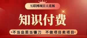 2024互联网项目天花板，新手小白也可以通过知识付费月入10W，实现财富自由【揭秘】-沐风资源库