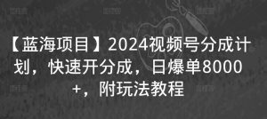 【蓝海项目】2024视频号分成计划，快速开分成，日爆单8000+，附玩法教程-沐风资源库
