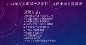 2024淘宝卖虚拟产品项目，提供小淘自营货源-沐风资源库