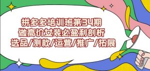 拼多多培训班第34期：做高价女装必盈利剖析选品/测款/运营/推广/拓展-沐风资源库