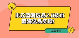 拼多多培训第33期：小众蓝海选品2.0技术-蓝海选品实操！-沐风资源库