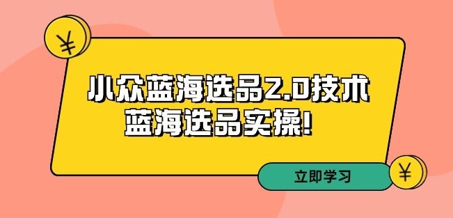 拼多多培训第33期：小众蓝海选品2.0技术-蓝海选品实操！-沐风资源库