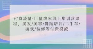 付费流量·巨量线索线上集训营课程，美发/美容/舞蹈培训/二手车/游戏/装修等付费投流-沐风资源库