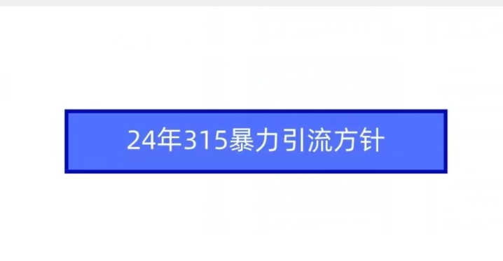 24年315暴力引流方针-沐风资源库
