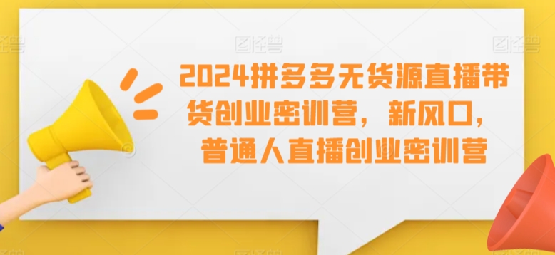 2024拼多多无货源直播带货创业密训营，新风口，普通人直播创业密训营-沐风资源库