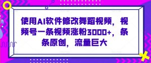 使用AI软件修改舞蹈视频，视频号一条视频涨粉3000+，条条原创，流量巨大【揭秘】-沐风资源库