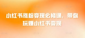 小红书涨粉变现必修课，带你玩赚小红书变现-沐风资源库