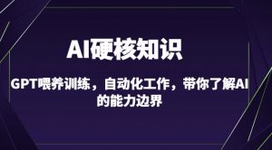 AI硬核知识-GPT喂养训练，自动化工作，带你了解AI的能力边界（10节课）-沐风资源库