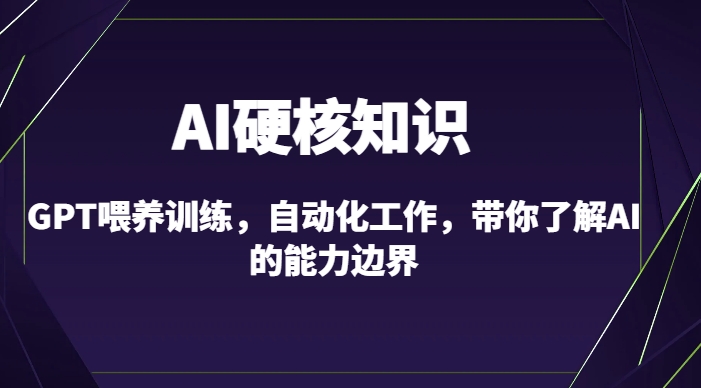 AI硬核知识-GPT喂养训练，自动化工作，带你了解AI的能力边界（10节课）-沐风资源库
