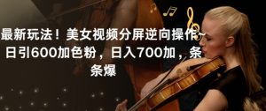 最新玩法！美女视频分屏逆向操作~日引600加色粉，日入700加，条条爆【揭秘】-沐风资源库