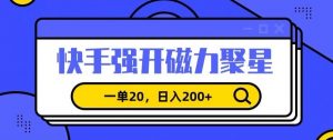 信息差赚钱项目，快手强开磁力聚星，一单20，日入200+【揭秘】-沐风资源库