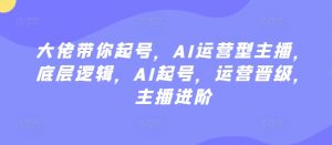大佬带你起号，AI运营型主播，底层逻辑，AI起号，运营晋级，主播进阶-沐风资源库