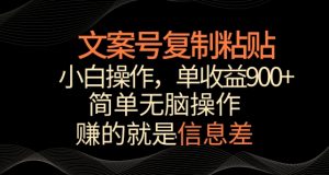 文案号掘金，简单复制粘贴，小白操作，单作品收益900+【揭秘】-沐风资源库