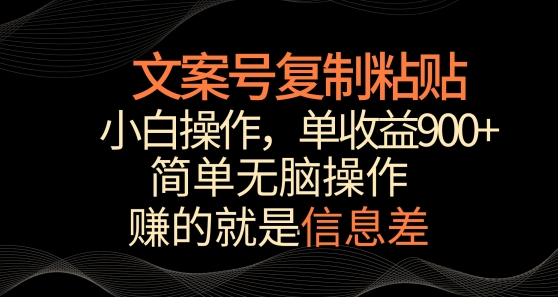 文案号掘金，简单复制粘贴，小白操作，单作品收益900+【揭秘】-沐风资源库