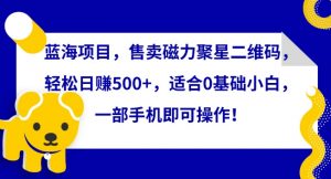蓝海项目，售卖磁力聚星二维码，轻松日赚500+，适合0基础小白，一部手机即可操作【揭秘】-沐风资源库