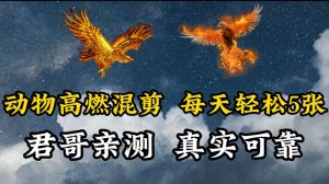 动物超燃混剪，每天轻松5张，剪辑简单大家爱看【揭秘】-沐风资源库