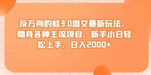 反方向的蛙3.0图文最新玩法，隐身各种主流项目，新手小白轻松上手，日入2000+【揭秘】-沐风资源库