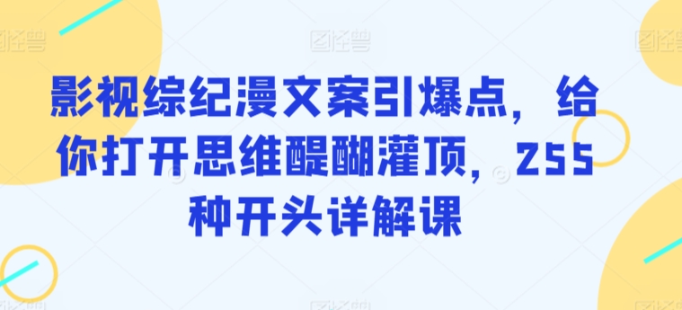 影视综纪漫文案引爆点，给你打开思维醍醐灌顶，255种开头详解课-沐风资源库