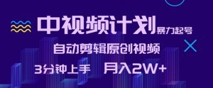 中视频计划暴力起号，自动剪辑原创视频，3分钟上手，月入2W+【揭秘】-沐风资源库