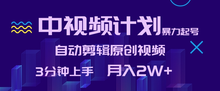 中视频计划暴力起号，自动剪辑原创视频，3分钟上手，月入2W+【揭秘】-沐风资源库