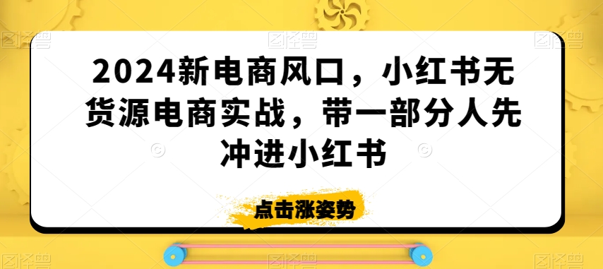 2024新电商风口，小红书无货源电商实战，带一部分人先冲进小红书-沐风资源库