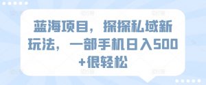 蓝海项目，探探私域新玩法，一部手机日入500+很轻松【揭秘】-沐风资源库