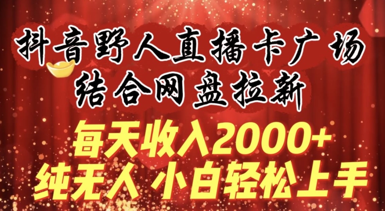 每天收入2000+，抖音野人直播卡广场，结合网盘拉新，纯无人，小白轻松上手【揭秘】-沐风资源库